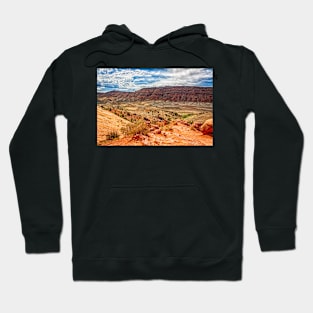 Arches National Park, Moab Utah Hoodie